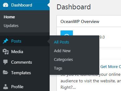 wordpress-Dashboard-post